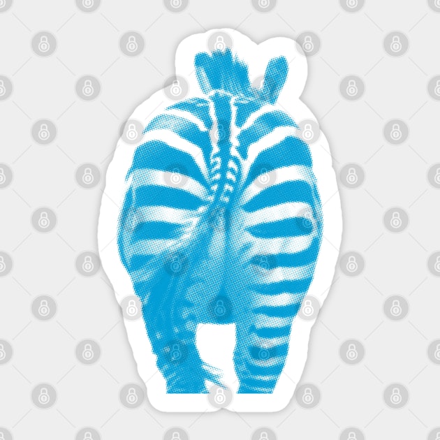 Zebra 03 Sticker by froileinjuno